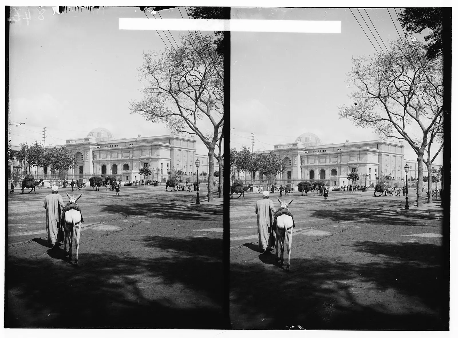 Historic museum associated with changing catalogue dates